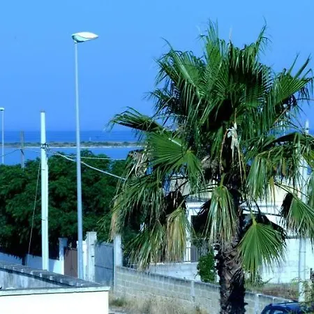 Sofia Porto Cesareo
